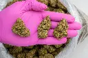 LA Kush Cake -PINK- 072125 20250718THICC.webp