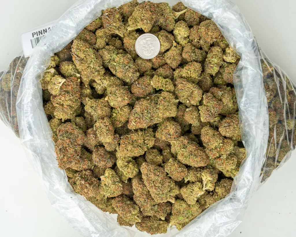 Pinnacle -BAG- 072125 20250718THPIN.webp