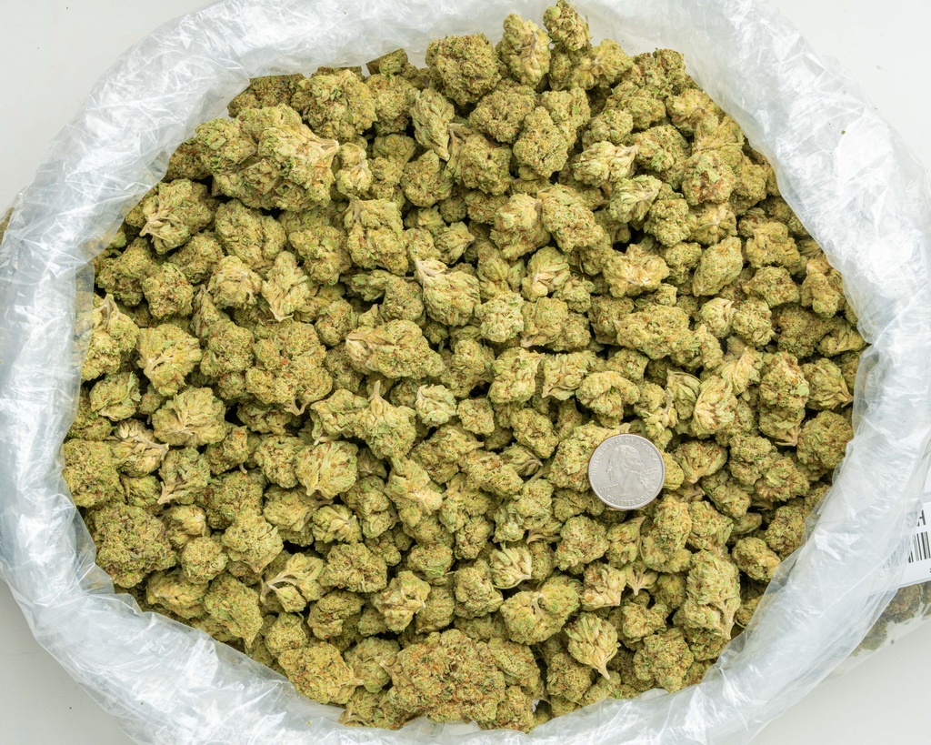 Triangle Kush -BAG- 072825 20250725ACKCR.webp