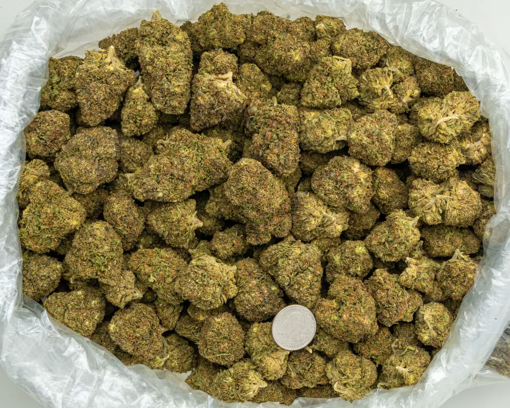 Ube Z-BAG- 072125.webp