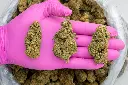 Wonder Bread -PINK- 072125.webp