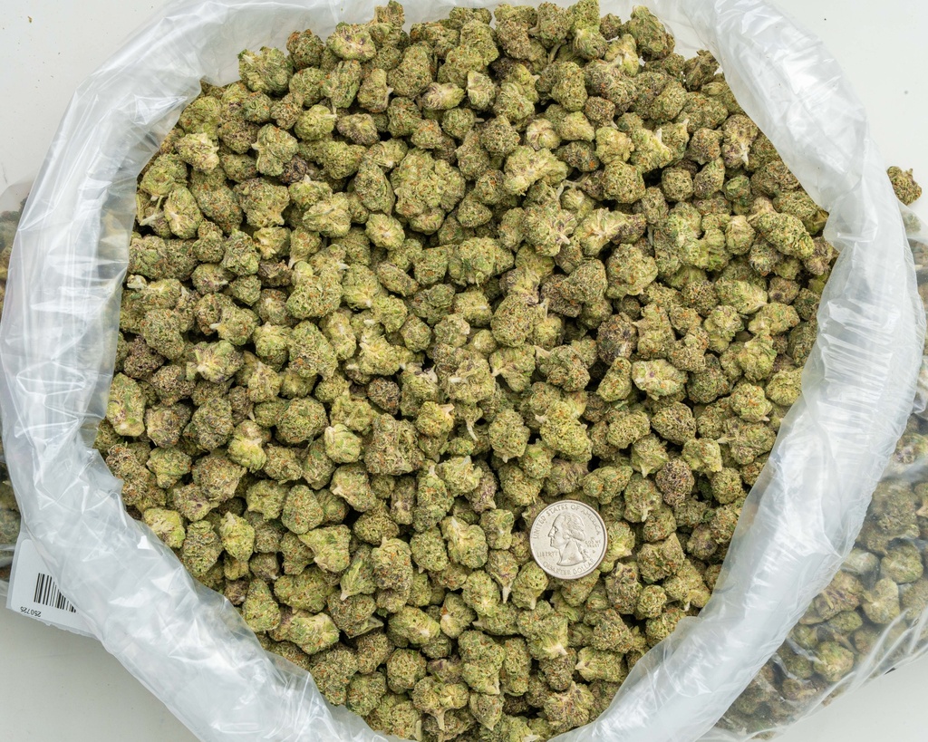 Candyland Indoor Smalls