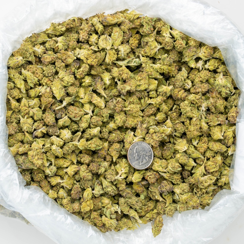 GMO Cookies Smalls
