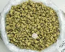 Apple Sherbet Indoor Smalls -BAG- 073125 20250731TVSOB (1).webp
