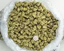 Apple Sherbet Indoor Mediums -BAG- 080125 20250731TVSOM (1).webp