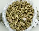 Apple Sherbet Indoor -BAG- 072825 20250725FVSOB.webp