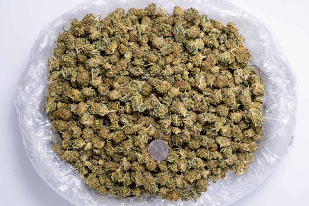 Bubba Small Quarter.webp