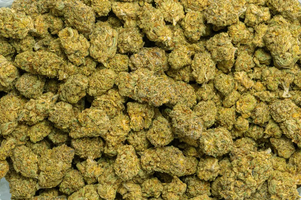 Habibi Indoor (CBD)