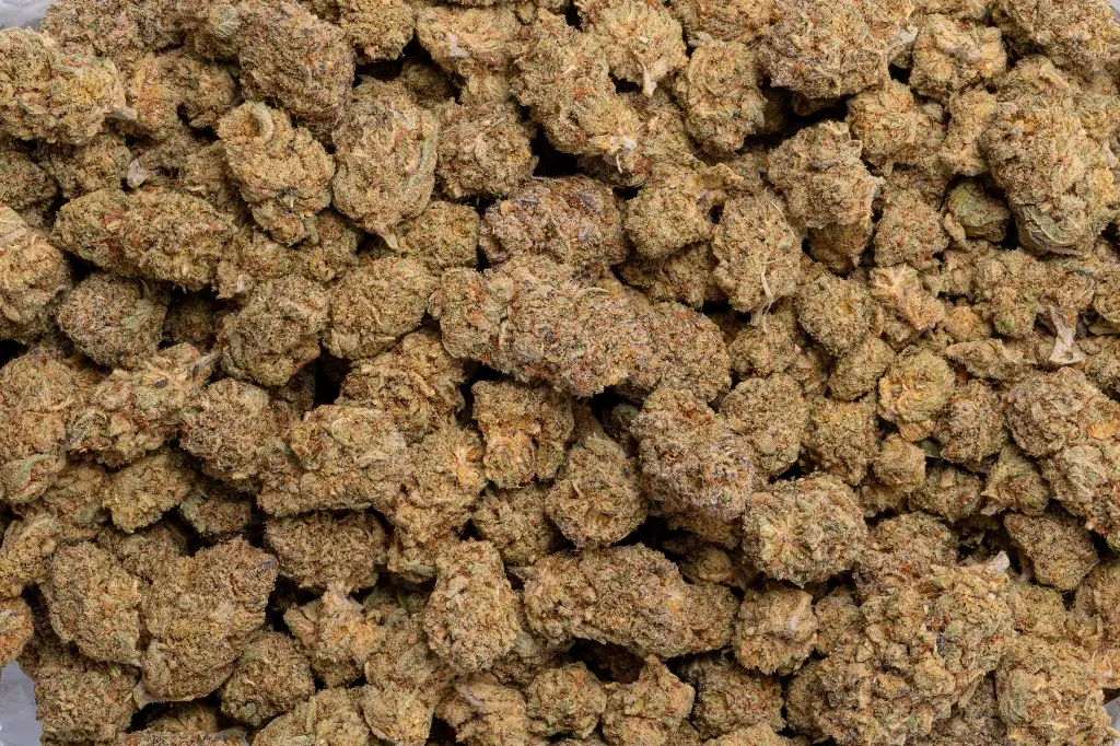 Habibi Indoor (CBD)