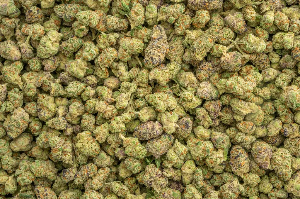 Hooch Indoor Smalls