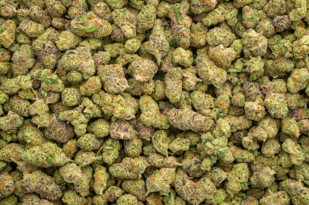 Hooch Indoor Smalls