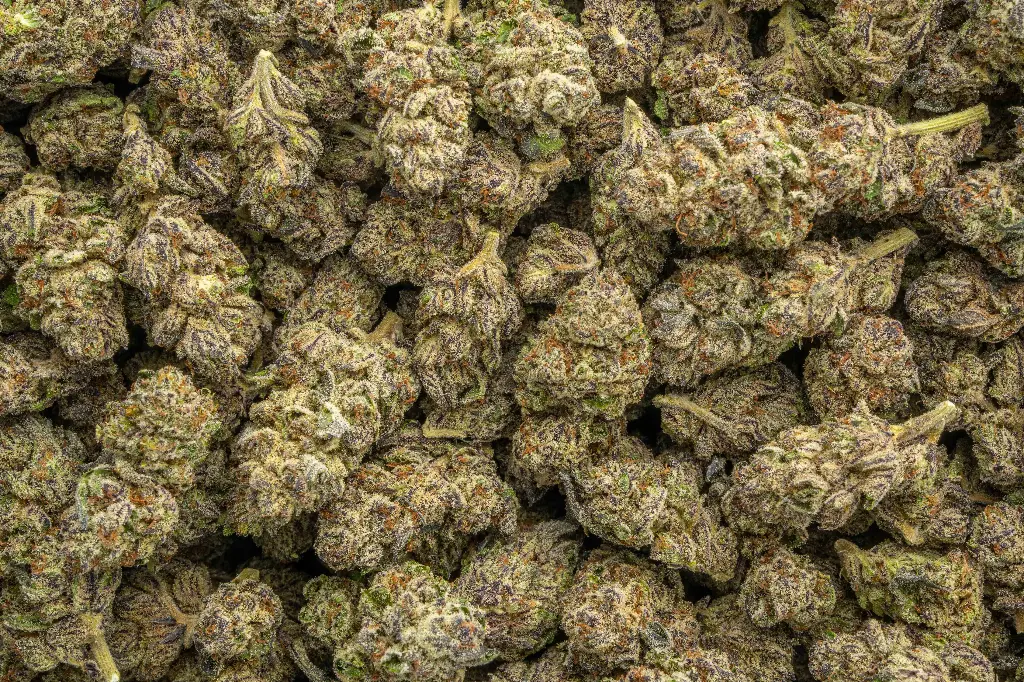 Hood Candy Indoor
