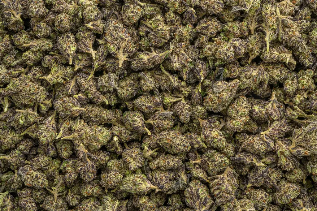 Hood Candy Indoor Smalls