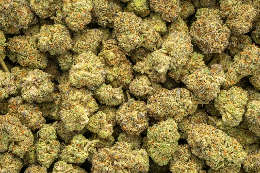 La Bomba Indoor