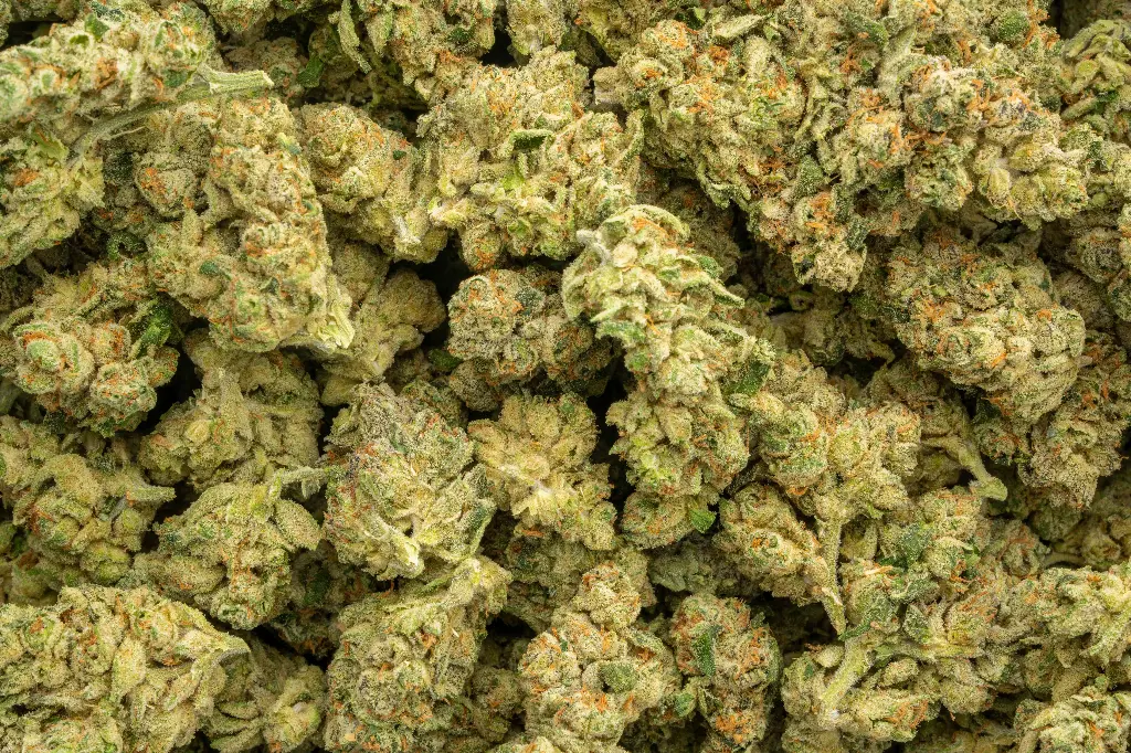 LA Pop Rocks Indoor