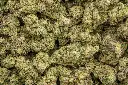 LA Pop Rocks Indoor