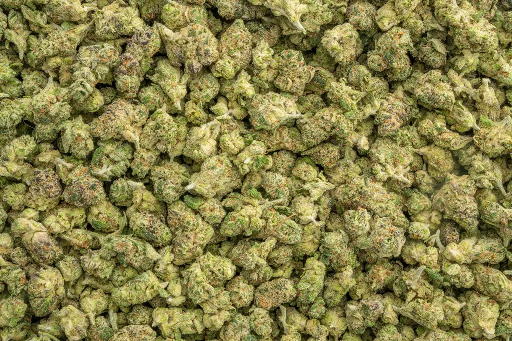 LA Pop Rocks Indoor Smalls