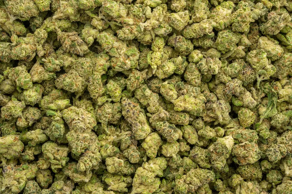 LA Pop Rocks Indoor Smalls