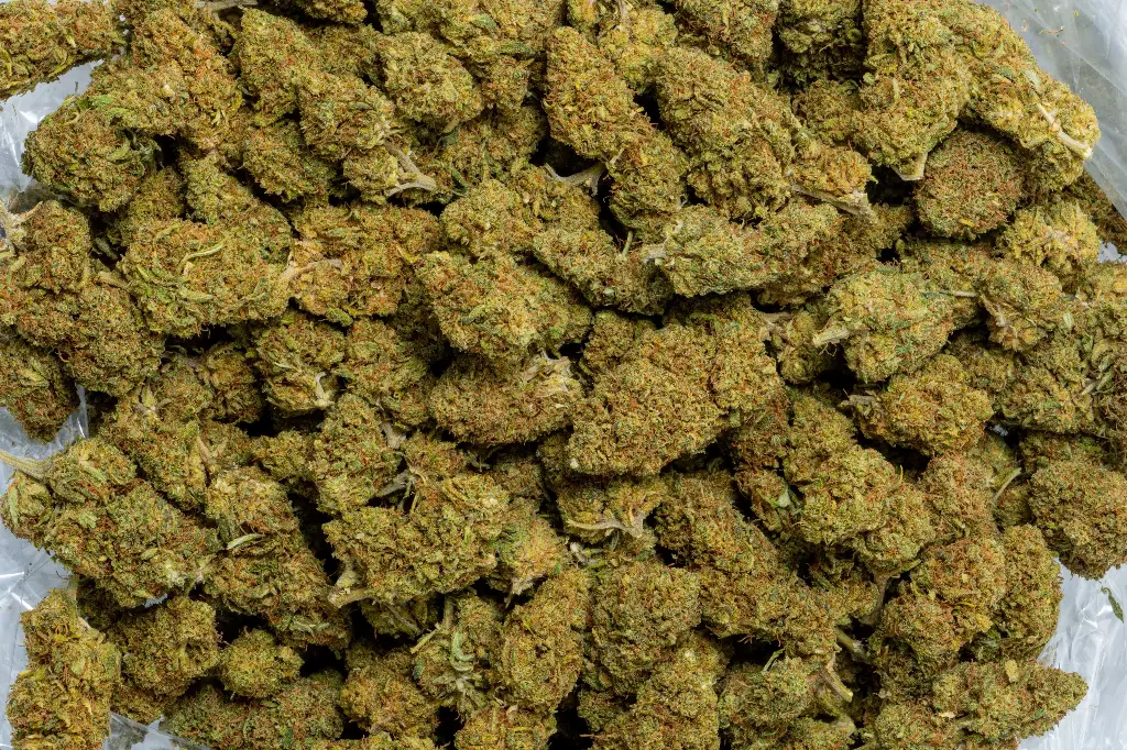 Lifter (CBD)