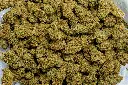 Lifter (CBD)