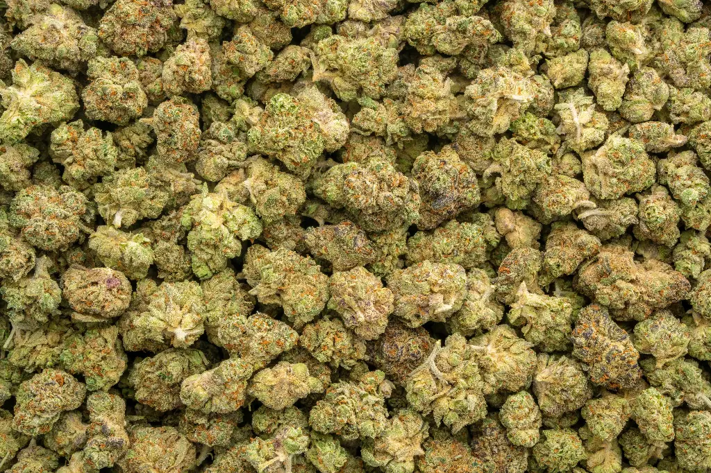 Oreoz Indoor Smalls
