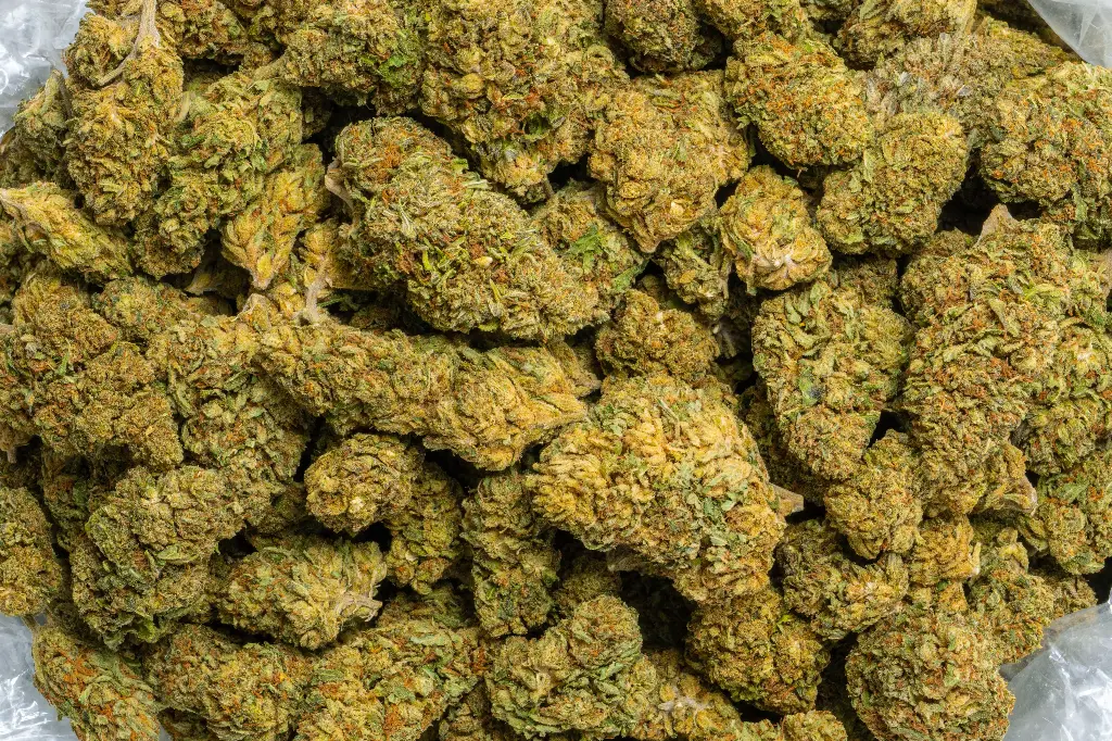 Royal OG (CBD)