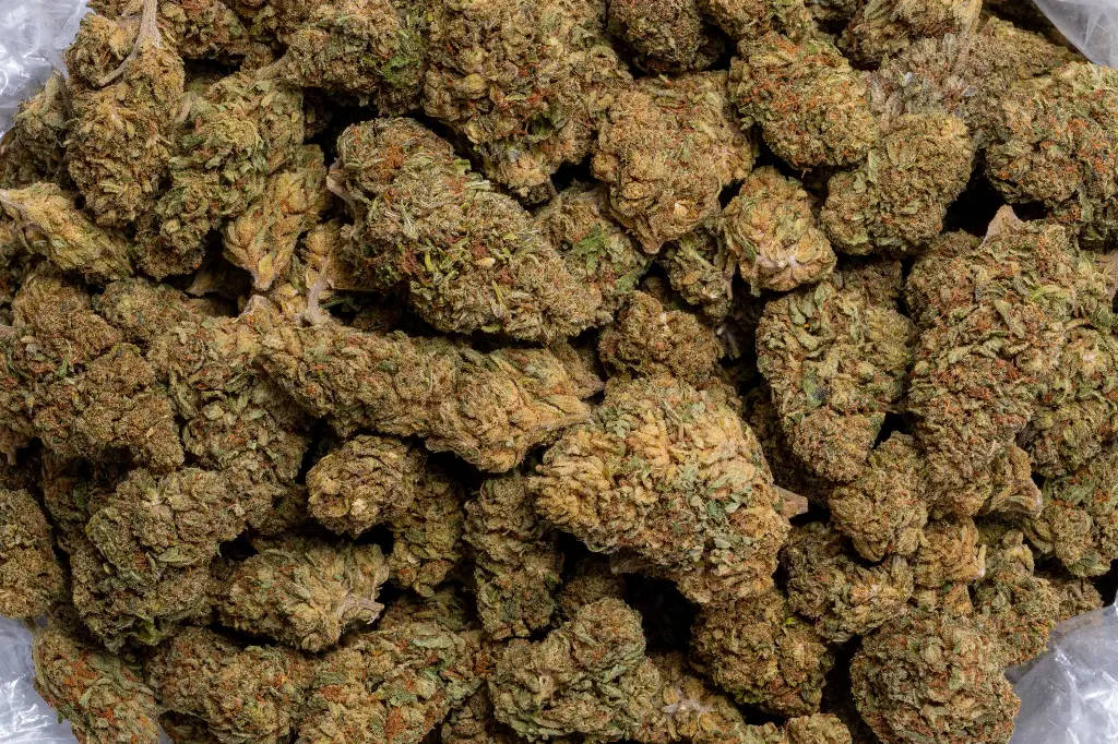 Royal OG (CBD)