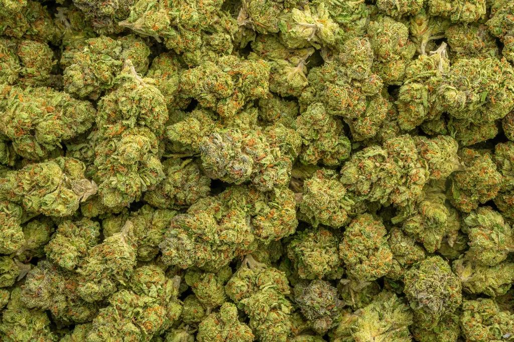Sherbet
