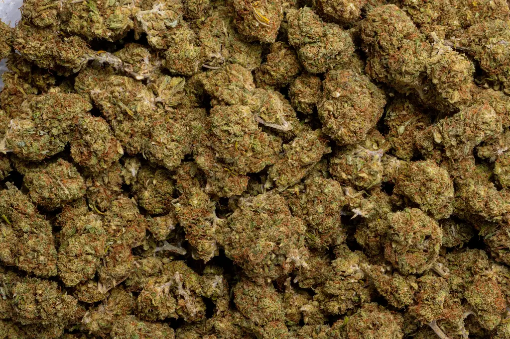 Sour Chem (CBD)