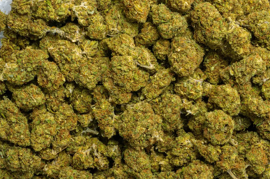 Sour Chem (CBD)