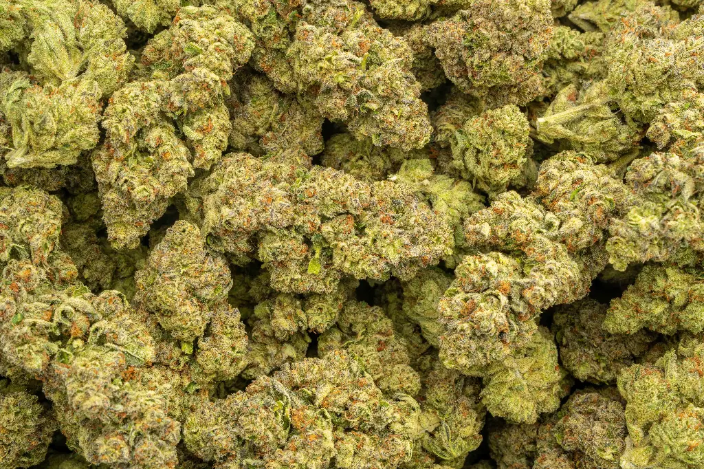 Sour Kush Breath