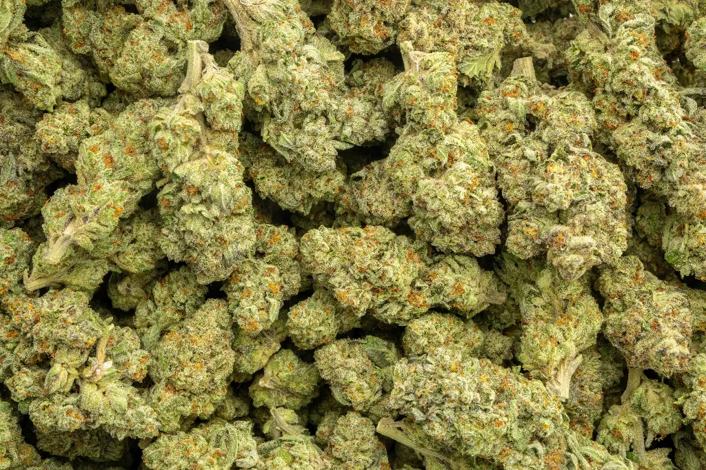 Sub Zero Indoor
