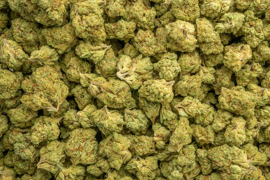 Triangle Kush
