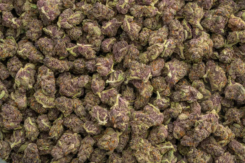 Tropicana Cherry Smalls