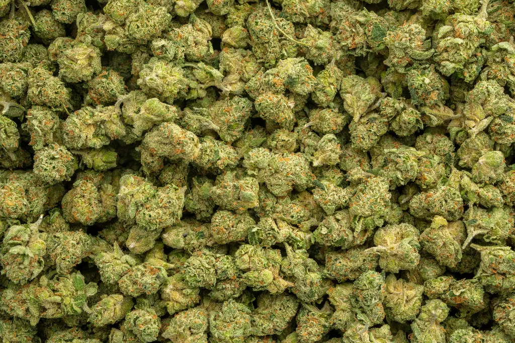 Apple Sherbet Indoor Smalls