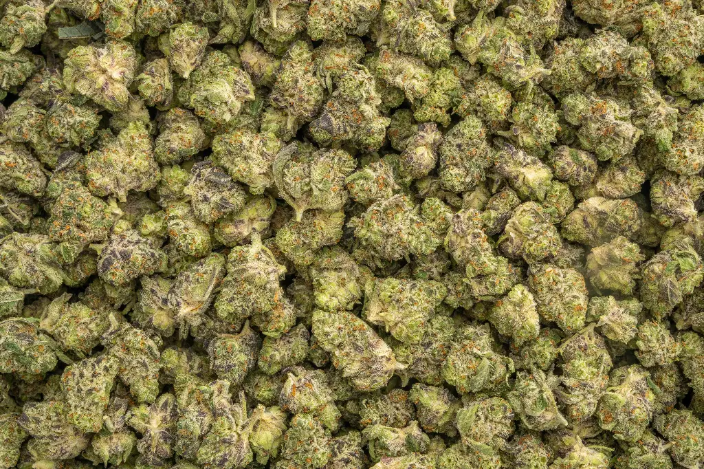 White Truffle Indoor Smalls