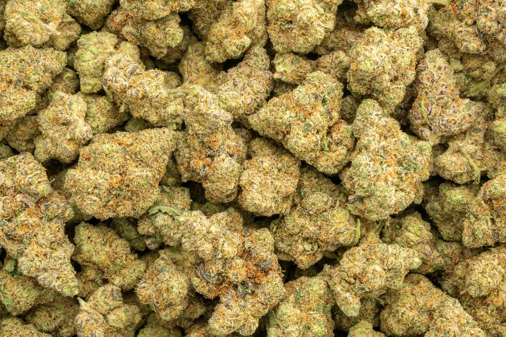 Zoap Indoor