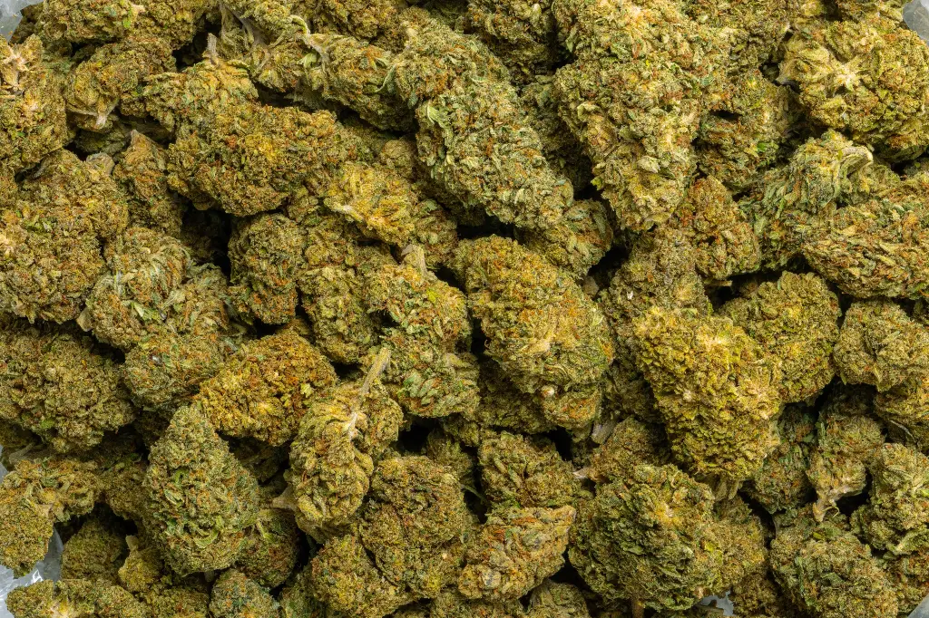 Berry Pie (CBD)