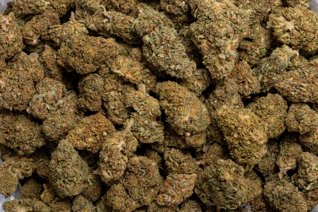 Berry Pie (CBD)