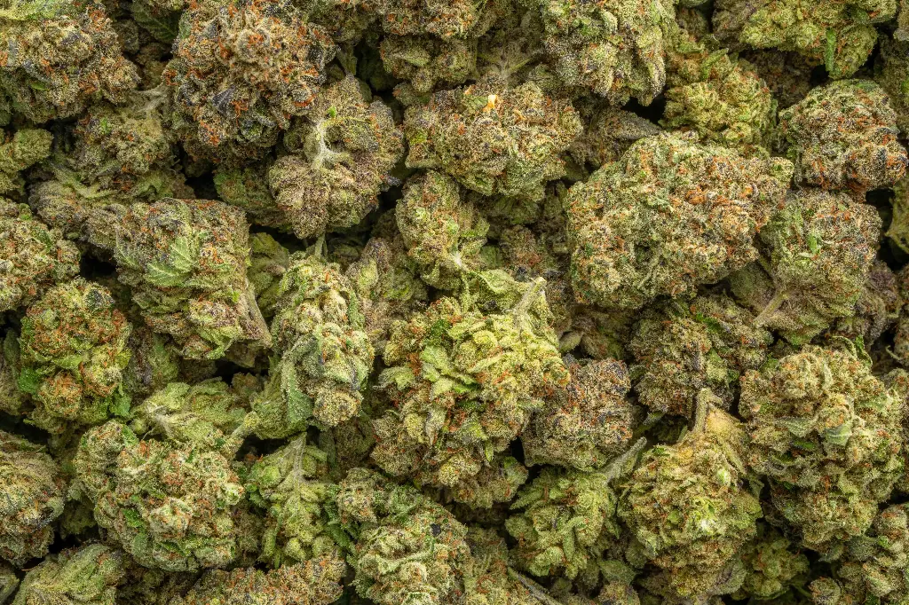 Black Cherry Cheesecake Indoor