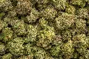Black Cherry Cheesecake Indoor
