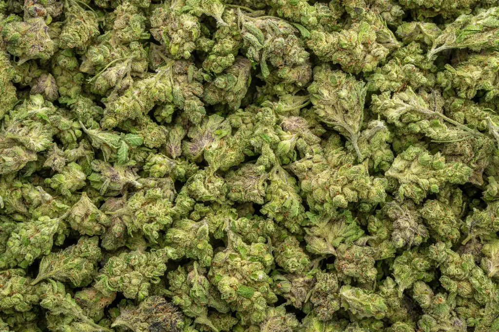 Black Cherry Cheesecake Indoor Smalls