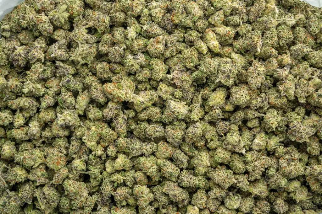 Black Runtz Indoor Smalls