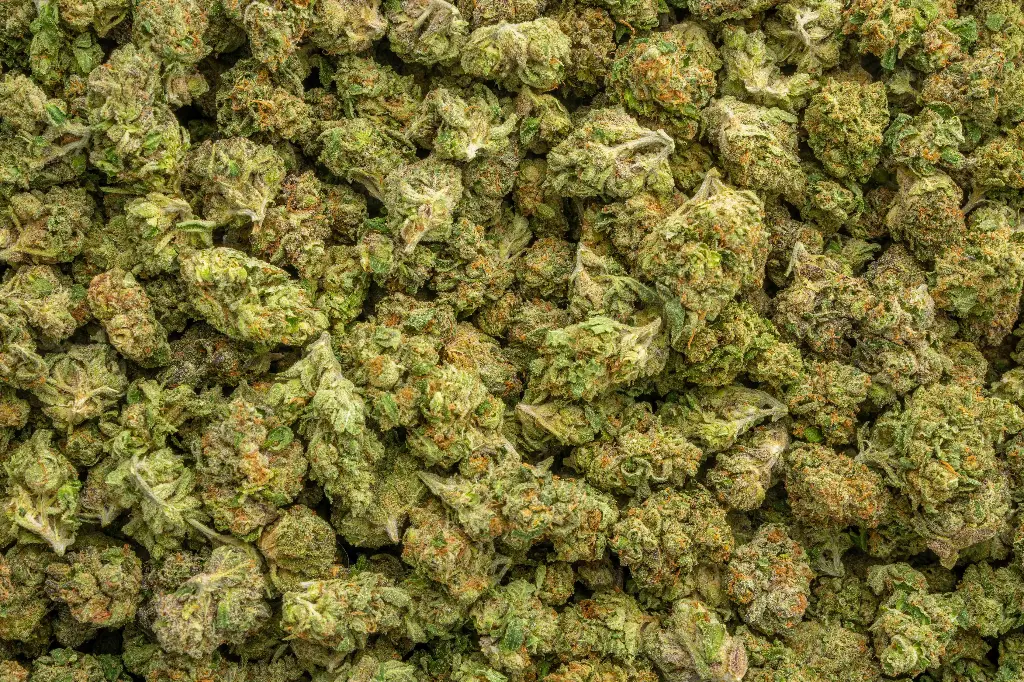 Mr. X Indoor Smalls