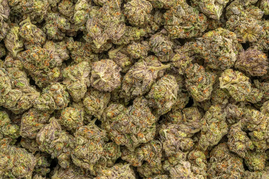Smarties Indoor