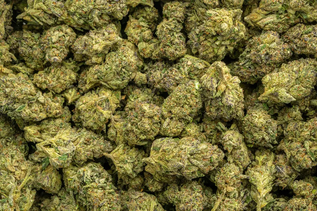 Cherry Popperz