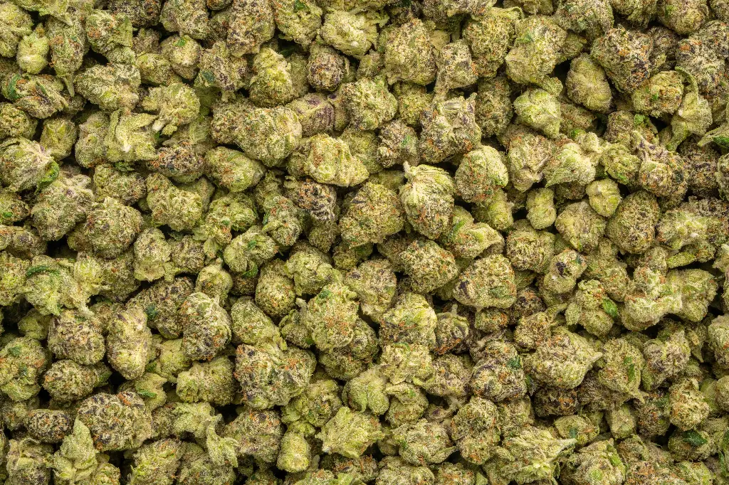 Gummiez Indoor Smalls