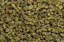 Sweet Island Skunk Smalls