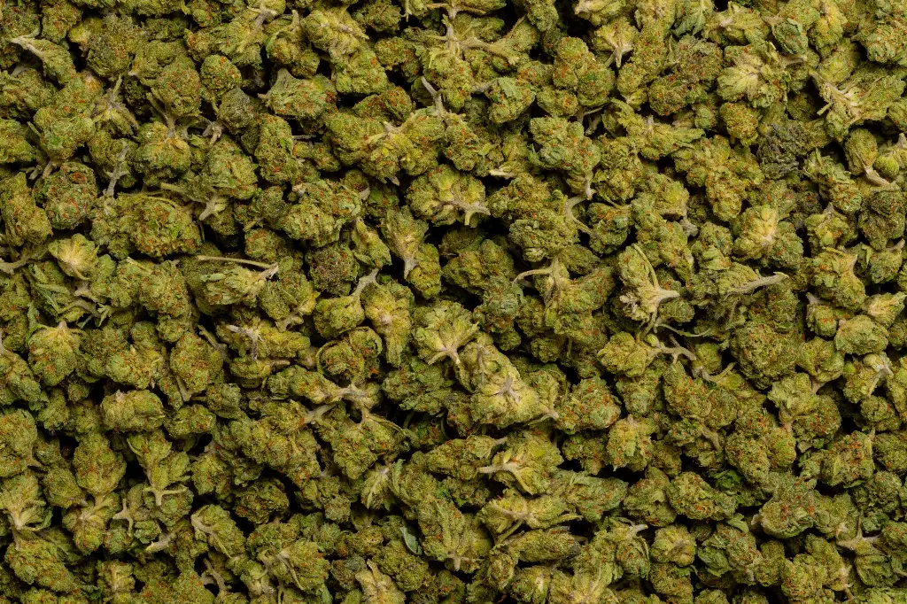 Tuscan Gelato Smalls