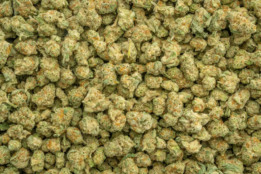 Frosted Freak Indoor Smalls